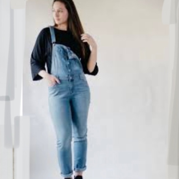 Basic Denim Wax Jean Overalls - Picture 3 of 5